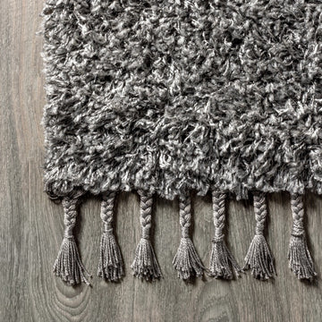 Mercer Shag Plush Tassel Area Rug